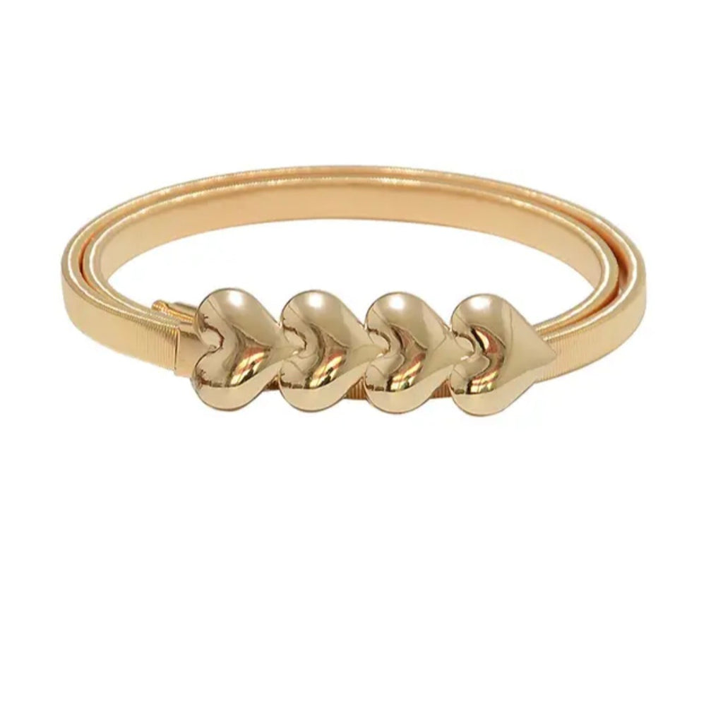 Metal Elastic Spring Chain Belt